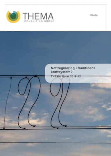 Bilde av forsiden på en rapport